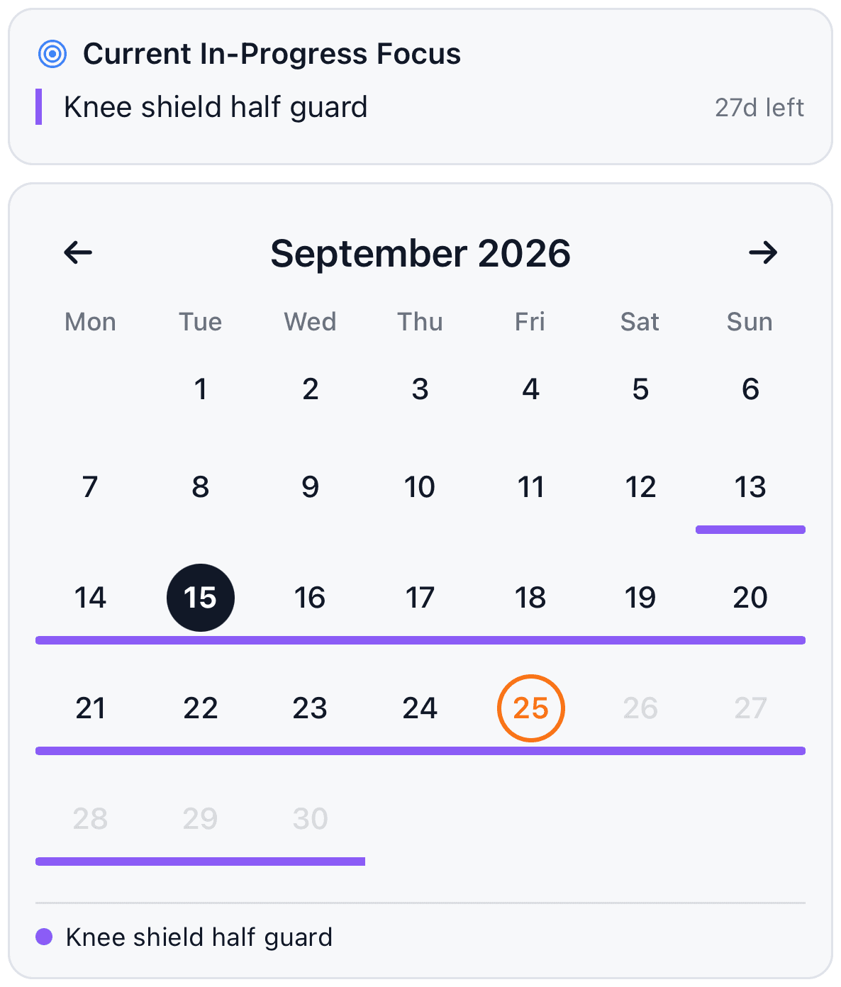 GrappleDex monthly view showing the current in-progress focus with 27 days left, and a purple bar across the calendar marking the weeks the focus runs